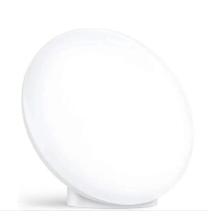 TaoTronics Light Therapy Lamp